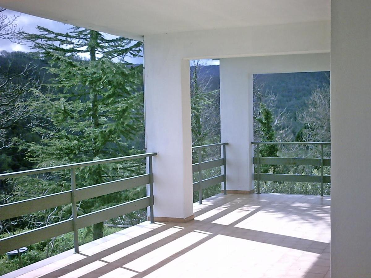 B&B Hollywood Olivadi Exterior photo